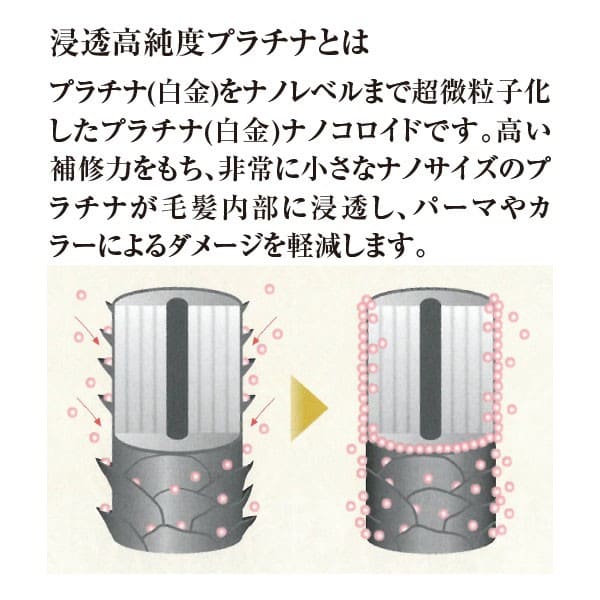 Repair Nano+ ץʥ&إޥ(100)