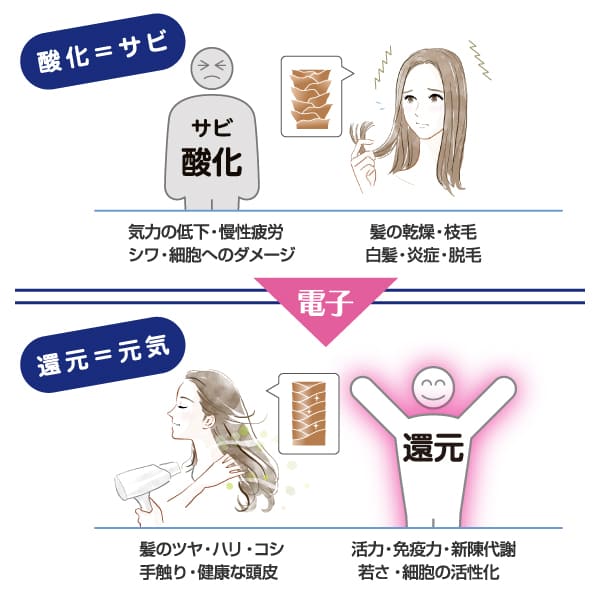 DeNSIA ȱ�β��ѿ� 150cc