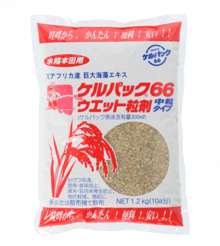 ����ѥå�66�������å�γ����γ��1.2����ͭ��JAS����