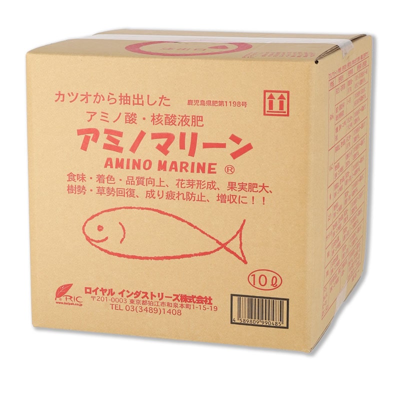 ���ߥΥޥ꡼�󡡡���10L��ͭ��JAS����