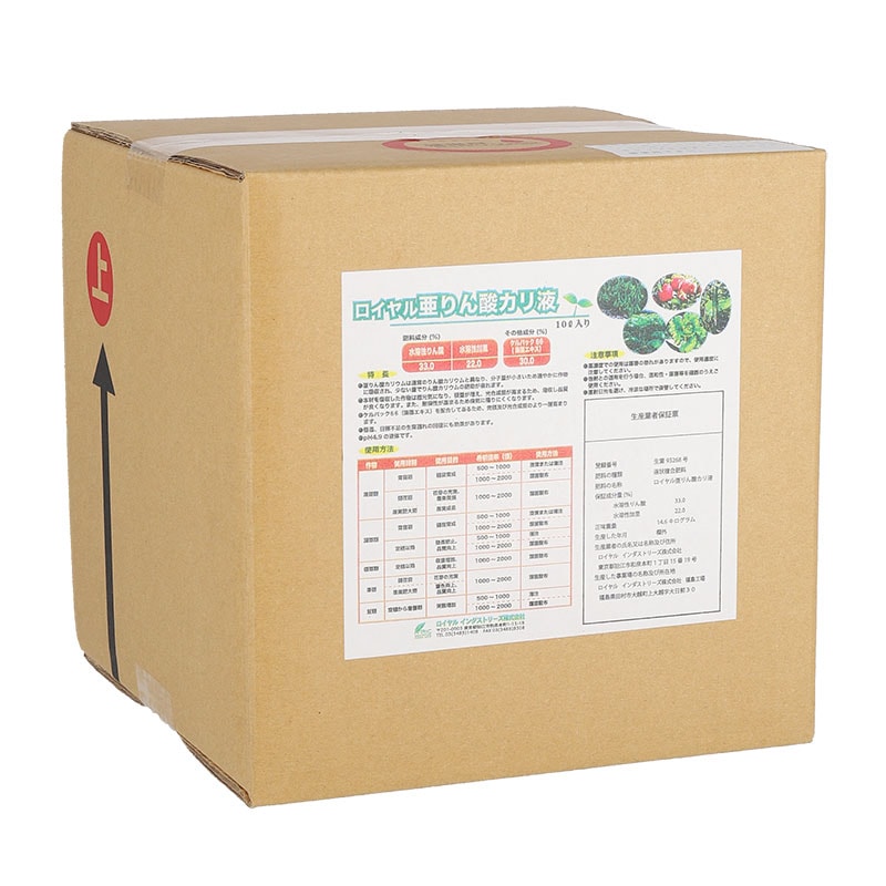 ������밡��������ա���10��