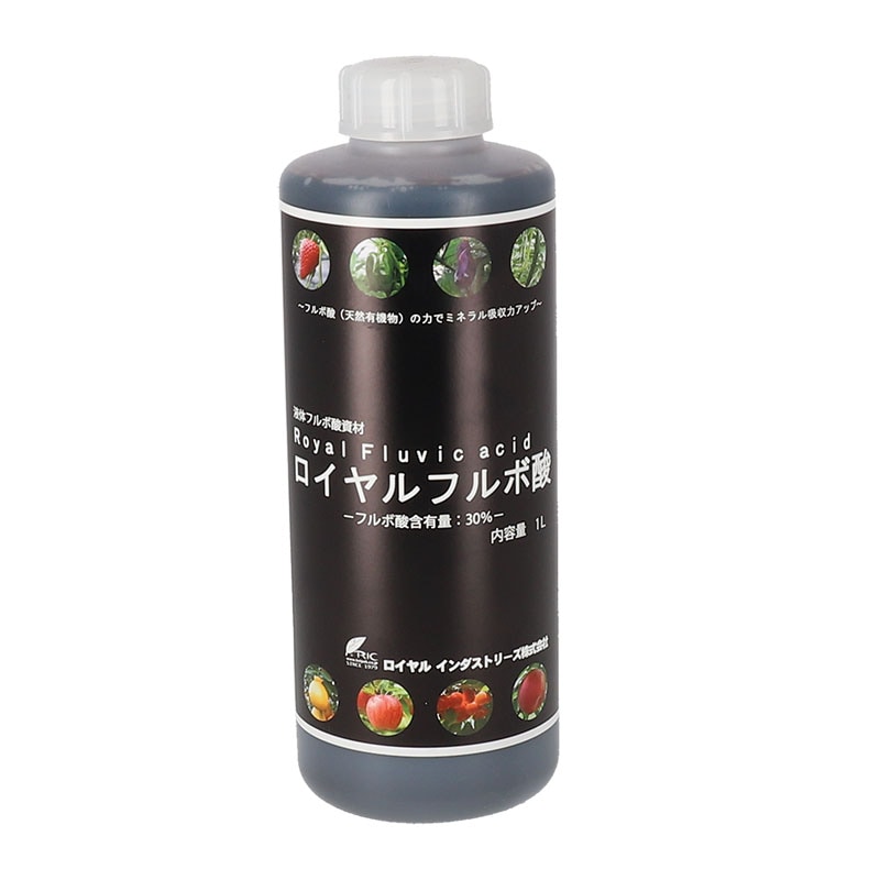 �������ե�ܻ���1��