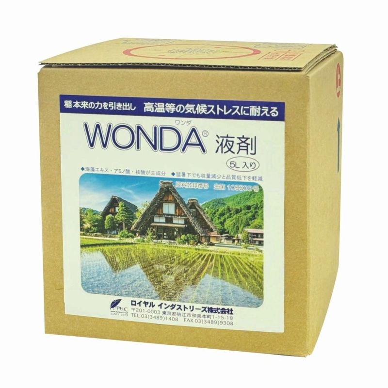 WONDA���պޡ�5L