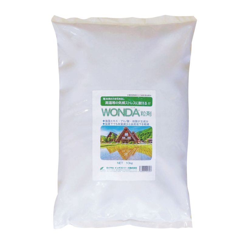 WONDA  γ�� ��10�����������������