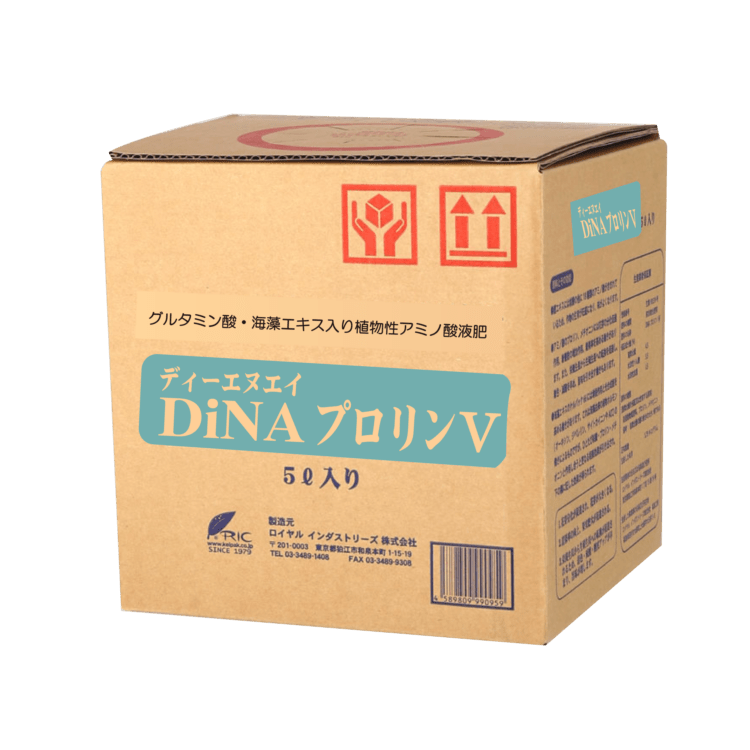 DiNA�ץ����V��5L