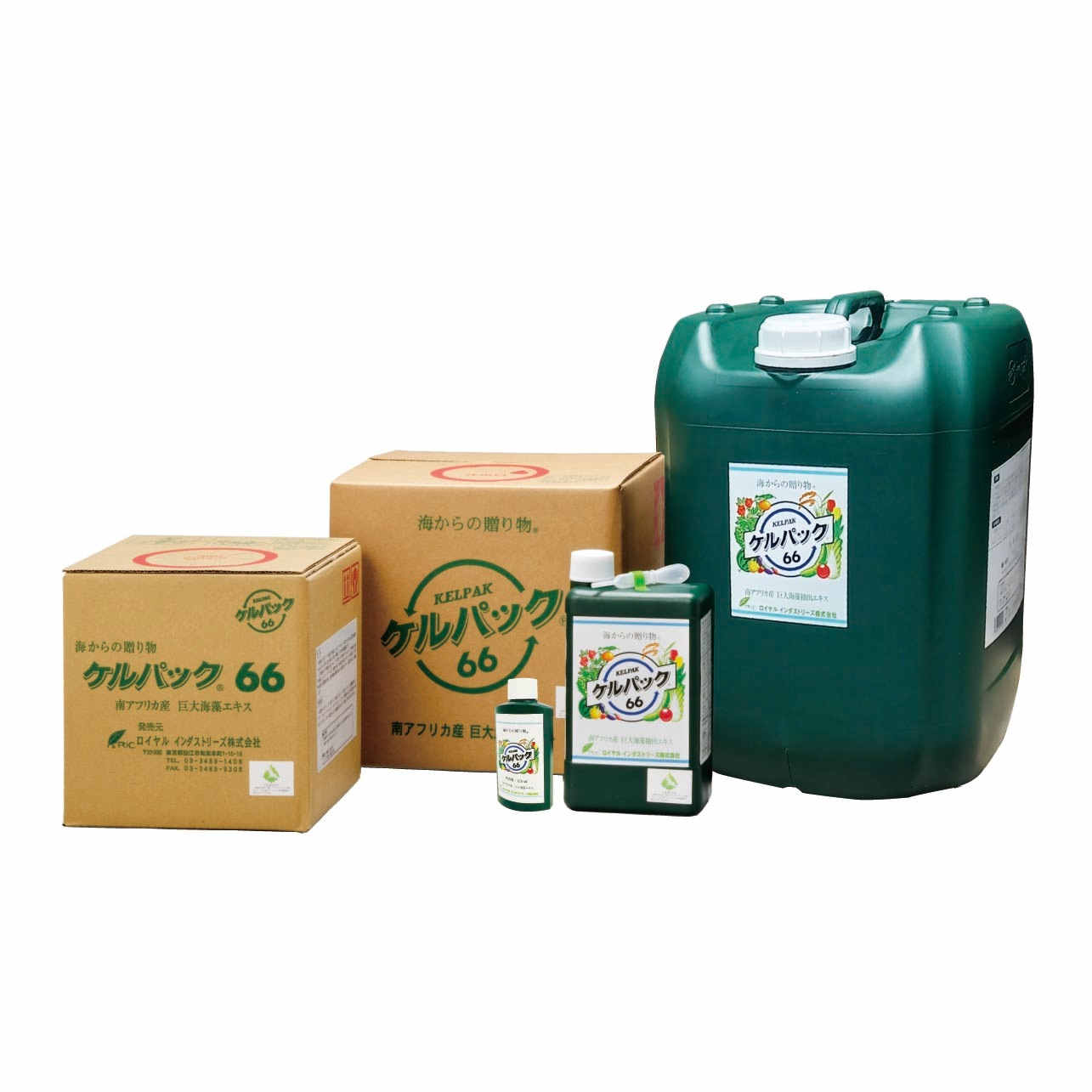 ����ѥå�66��20�̡�ͭ��JASɽA.1Ŭ�����