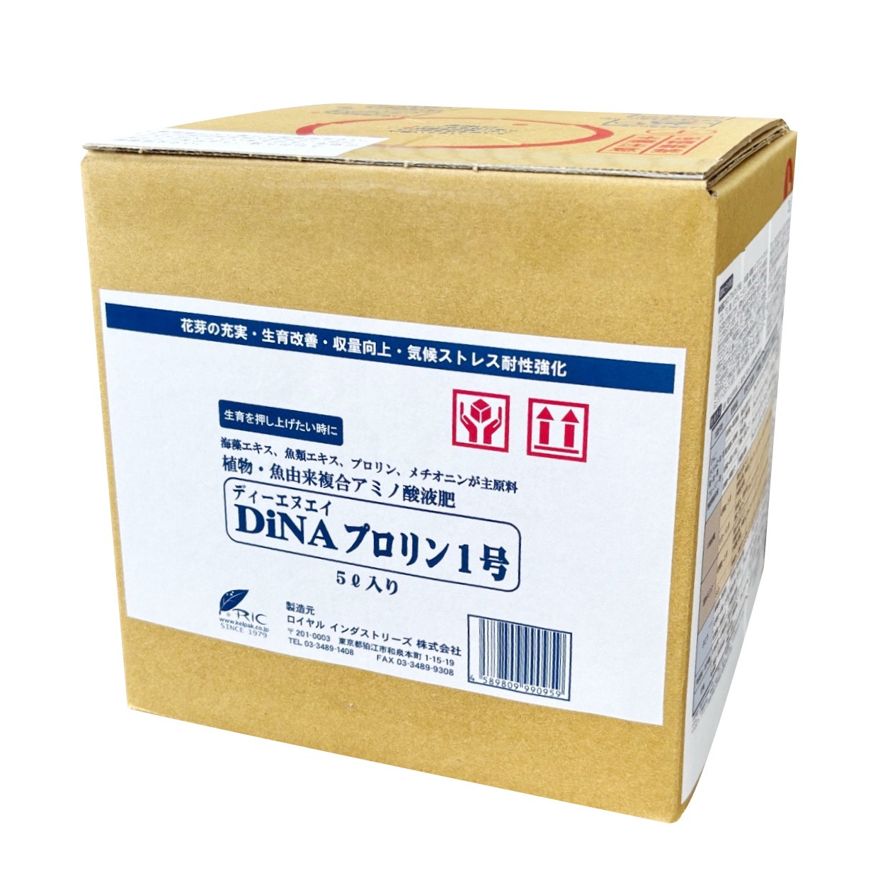 DiNA�ץ����1�桡5L