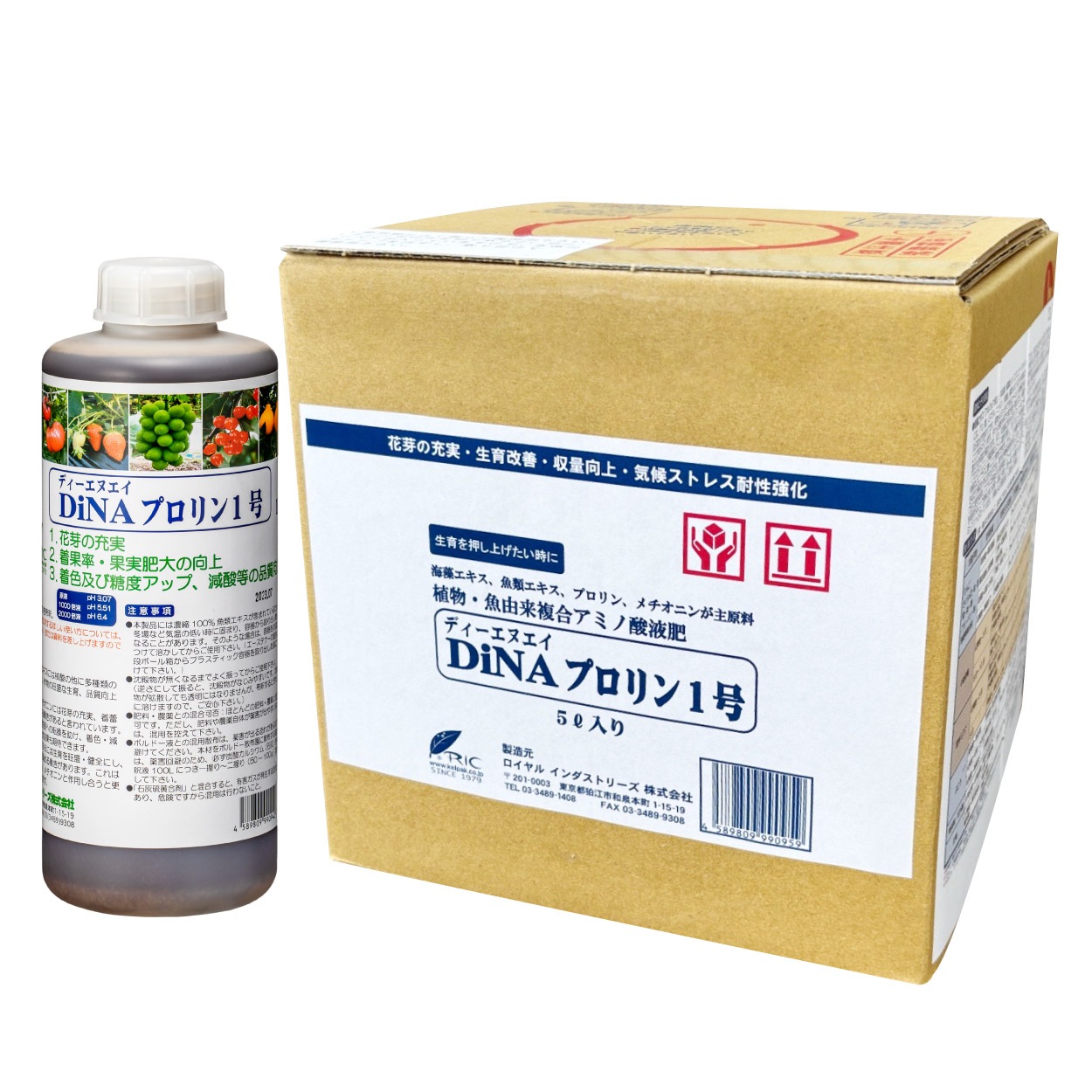 DiNA�ץ����1�桡5L