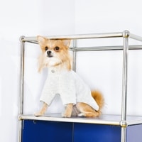 餫ԥ<br>GASU Moi / [3 Colors] Super Comfortable Yarn-dyed T-shirt