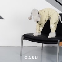 ꥸץ - Celadon Green<br>GASU Assembler / [Celadon Green] 4-Leg Jumpsuit