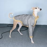 С֥ȥ - Beige<br>GASU Varit / [2 Colors] Reversible Waterproof Trench Coat