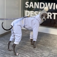 ե꡼ʡץ - Lavender<br>GASU Assembler / [2 Colors] Waterproof Oilproof Antifouling Fleece-lined Warm Jumpsuit