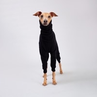 ONESIE - Black Is The New Black