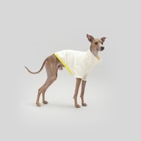 SHIRT - Lemon Pie