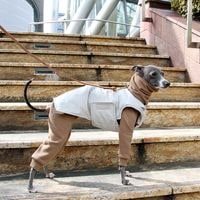 ͏ 󥵥졼ȏɿʥ٥ - Light Grey<br> 3M Thinsulate Waterproof Futuristic Padded Vest