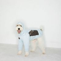 ե꡼ѡ - Light Blue<br>  Antistatic Thick Fleece Hoodie