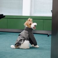 ɿ奱ץ㥱å - Moss Green<br>Waterproof Athletic Cape Jacket