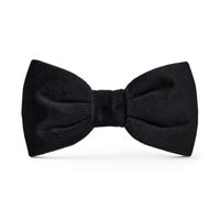 Velvet Dog Bow Tie - Black