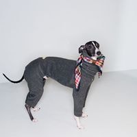 ���ȥ�å��ե��å� �ե꡼������ѡ��� - Charcoal<br>Mix & Match Freely! Slim Anti-Static Stretch Fleece 4-Leg Jumpsuit