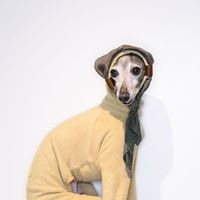 ���ȥ�å��ե��å� �ե꡼������ѡ��� - Honey Mustard<br>Mix & Match Freely! Slim Anti-Static Stretch Fleece 4-Leg Jumpsuit