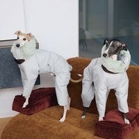 ���ͥ��󥵥졼�ȏ�� �ɿ�ܥ�塼�ॹ�Ρ�������<br>3M Thinsulate��� Antistatic Down-Feel Ultra-Waterproof Extra-Thick 4-Legged Padded Snowsuit