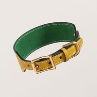 �ڼ��������TWINKA O��� | Single Loop Collar Hound - Yellow