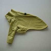 �������ʥ�����T - Fresh Leaves <br> GASU Svelte��Elastic Nylon 2-Leg Shirt 