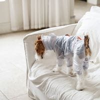 �饤�ȥ������ �쥤�󥸥㥱�å� - Cloud Mist Grey<br>Light Shield Rain Jacket - Cloud Mist Grey
