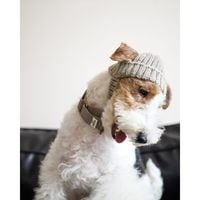 ������ �˥å� �ϥå�<br>Wool Knit Hat