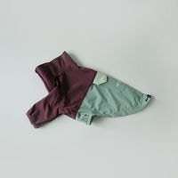 �����ȥɥ� �������ץ����顼 T����� - Raisin<br>Outdoor Explorer Tee - Coastal Fog - Raisin