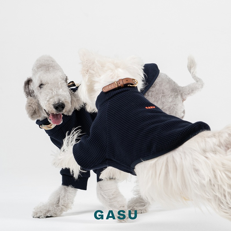 ��SALE�ۥ��åȥ󥵡��ޥ�ԥ���� <br>GASU Vari���t��� / [Navy] Cotton 2-Leg Tee