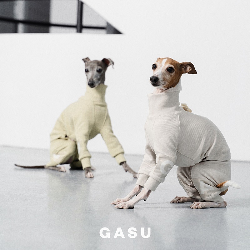 �������ꥸ���ץ����� - Lucent White <br>GASU Assembler / [Lucent White] 4-Leg Jumpsuit