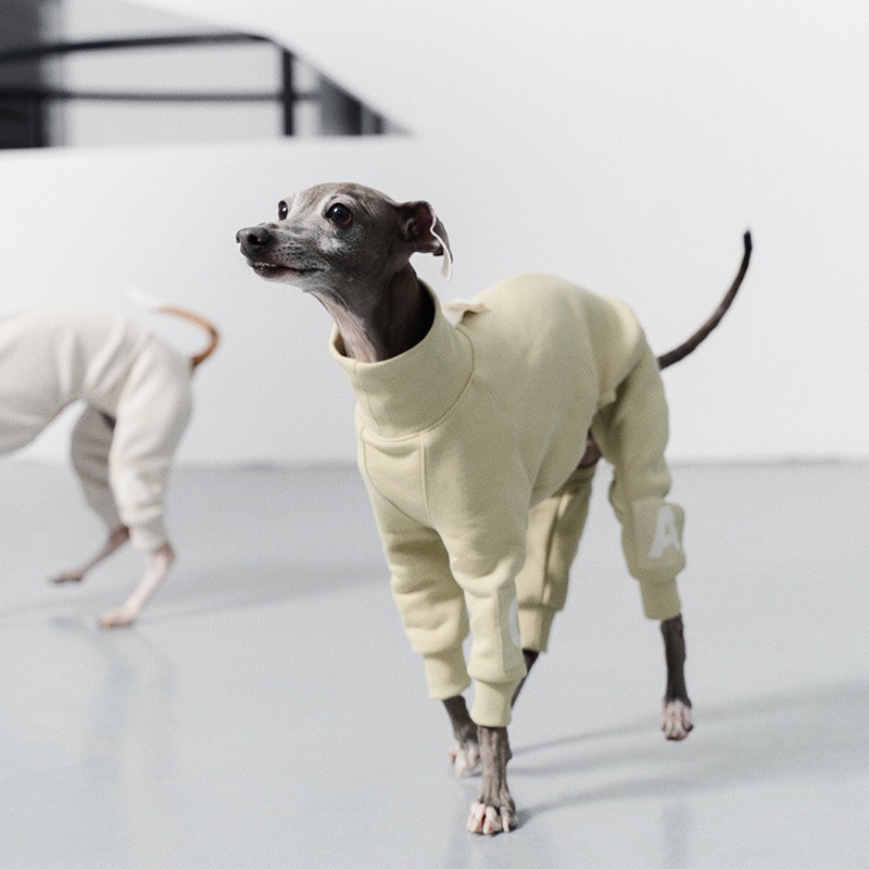 �������ꥸ���ץ����� - Celadon Green<br>GASU Assembler / [Celadon Green] 4-Leg Jumpsuit