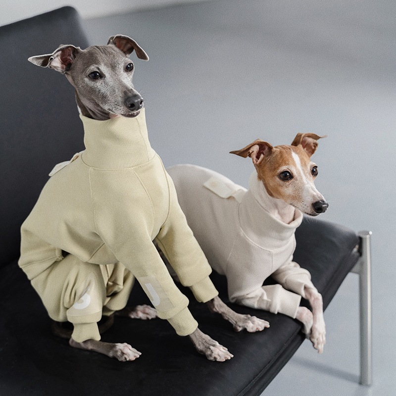 �������ꥸ���ץ����� - Celadon Green<br>GASU Assembler / [Celadon Green] 4-Leg Jumpsuit
