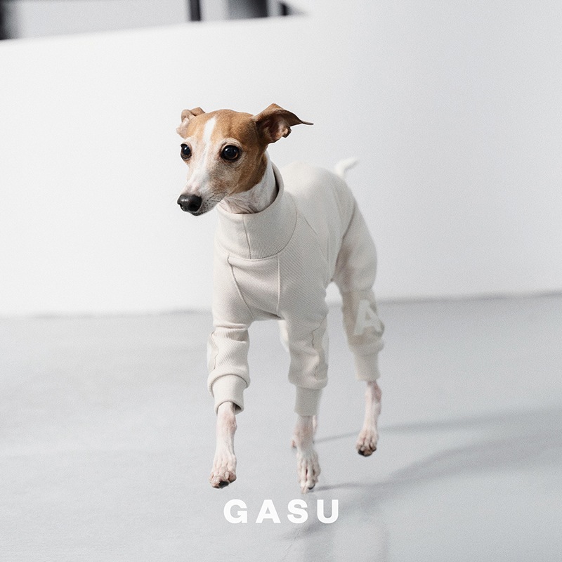 �������ꥸ���ץ����� - Celadon Green<br>GASU Assembler / [Celadon Green] 4-Leg Jumpsuit