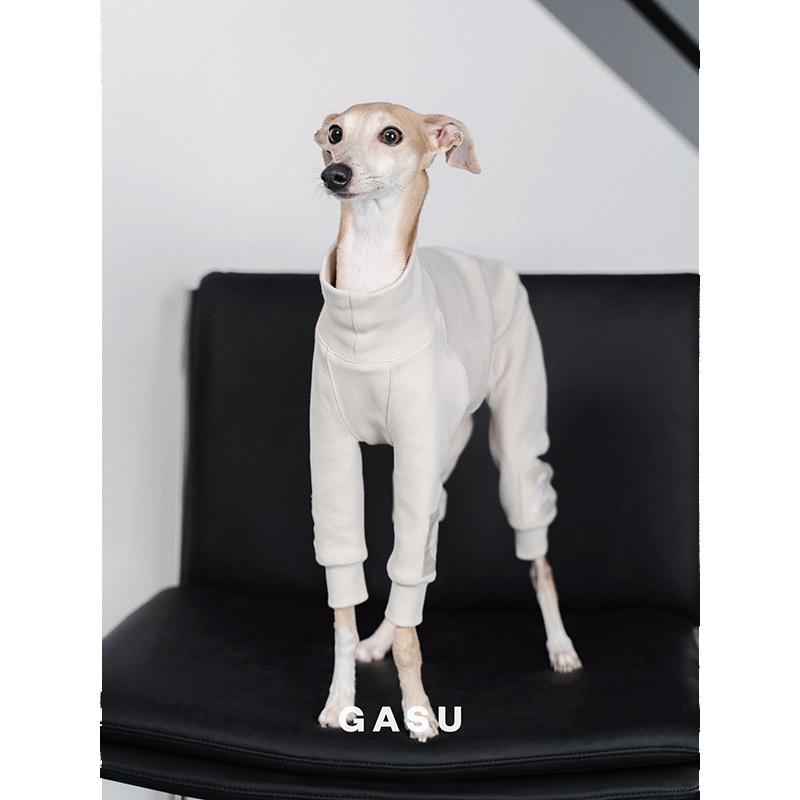 �������ꥸ���ץ����� - Celadon Green<br>GASU Assembler / [Celadon Green] 4-Leg Jumpsuit