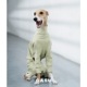 �������ꥸ���ץ����� - Celadon Green<br>GASU Assembler / [Celadon Green] 4-Leg Jumpsuit