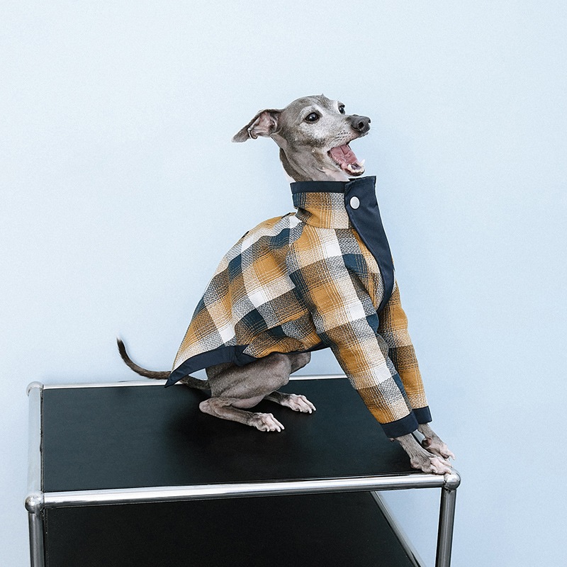 ��С����֥�ȥ��������� - Navy<br>GASU Vari���t��� / [2 Colors] Reversible Waterproof Trench Coat