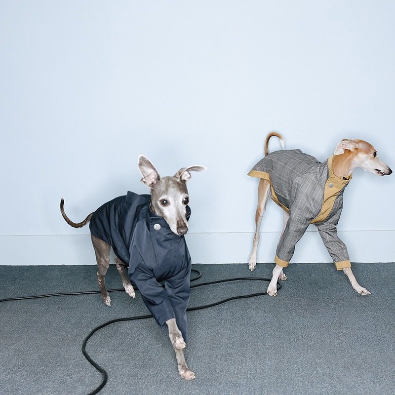 ��С����֥�ȥ��������� - Navy<br>GASU Vari���t��� / [2 Colors] Reversible Waterproof Trench Coat