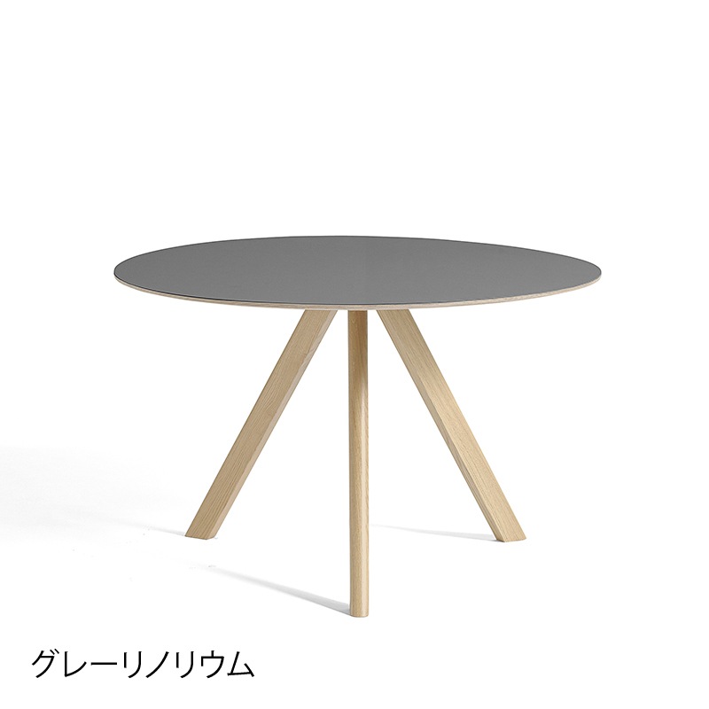 CPH20ROUND ��120