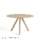 CPH20ROUND ��120