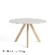 CPH20ROUND ��120