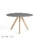 CPH20ROUND ��120