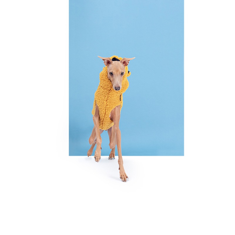 ��SALE��TEDDY VEST - Mustard