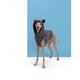 ��SALE��TEDDY VEST - Marengo