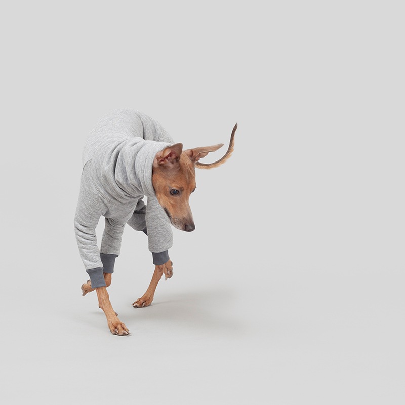 ��SALE��ONESIE - Mist-kissed