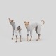 ��SALE��ONESIE - Mist-kissed