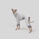 ��SALE��ONESIE - Mist-kissed