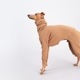 ��SALE��ONESIE - Peanut