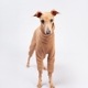 ��SALE��ONESIE - Peanut